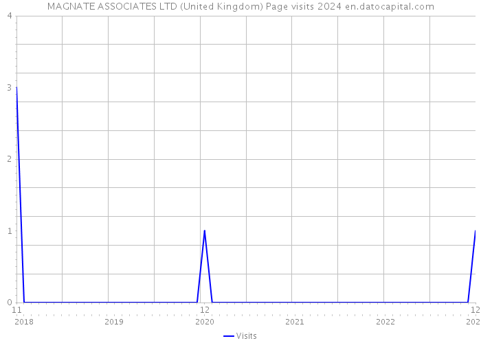 MAGNATE ASSOCIATES LTD (United Kingdom) Page visits 2024 
