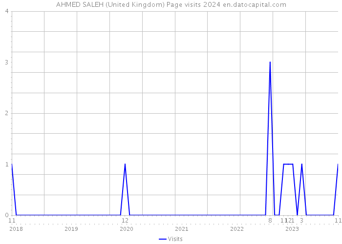 AHMED SALEH (United Kingdom) Page visits 2024 