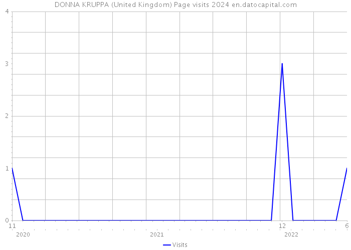 DONNA KRUPPA (United Kingdom) Page visits 2024 