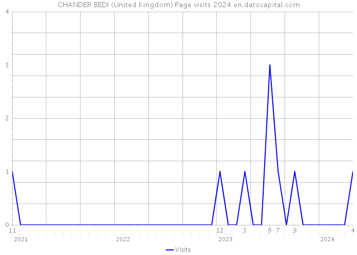 CHANDER BEDI (United Kingdom) Page visits 2024 