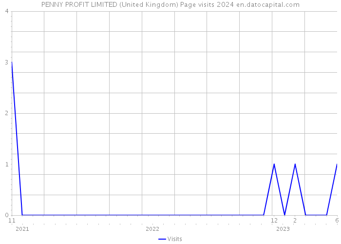 PENNY PROFIT LIMITED (United Kingdom) Page visits 2024 