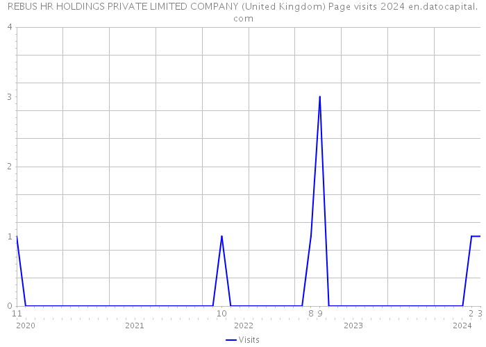 REBUS HR HOLDINGS PRIVATE LIMITED COMPANY (United Kingdom) Page visits 2024 