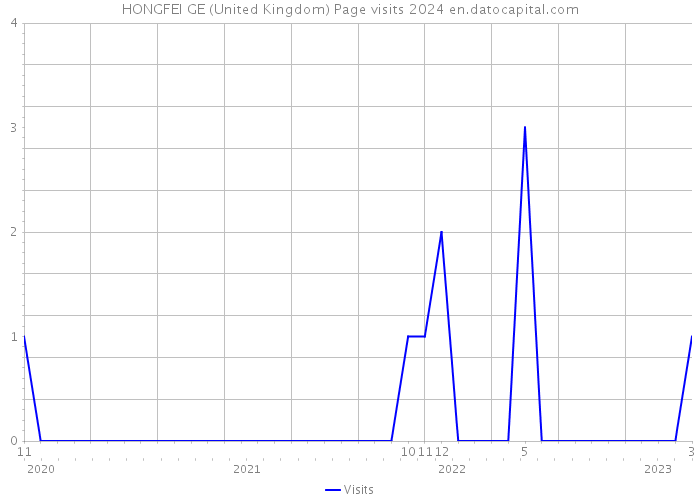 HONGFEI GE (United Kingdom) Page visits 2024 