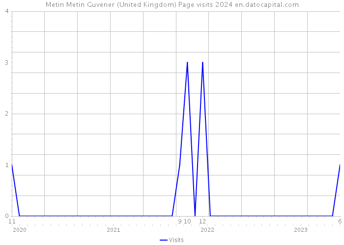 Metin Metin Guvener (United Kingdom) Page visits 2024 