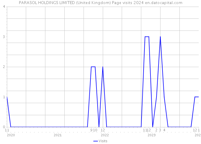 PARASOL HOLDINGS LIMITED (United Kingdom) Page visits 2024 