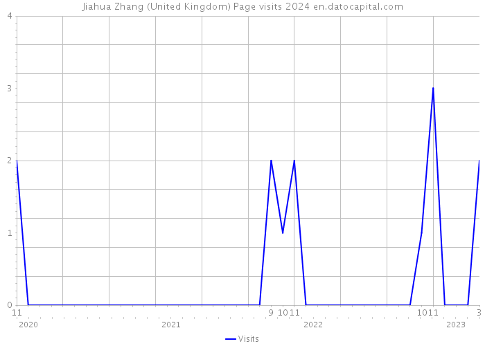 Jiahua Zhang (United Kingdom) Page visits 2024 