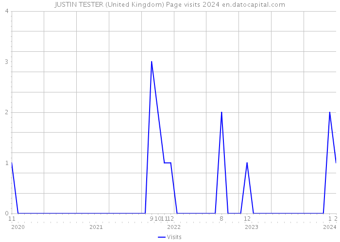 JUSTIN TESTER (United Kingdom) Page visits 2024 