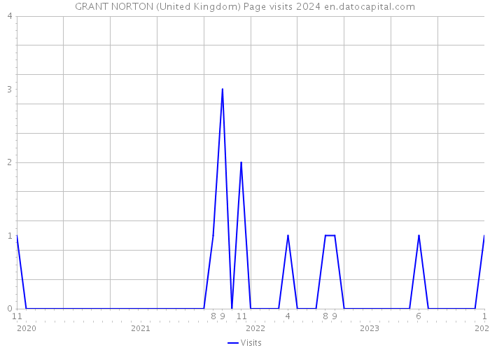 GRANT NORTON (United Kingdom) Page visits 2024 