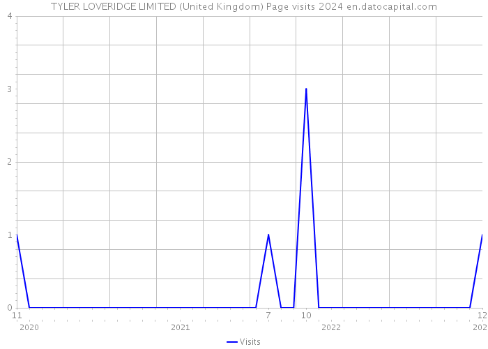 TYLER LOVERIDGE LIMITED (United Kingdom) Page visits 2024 