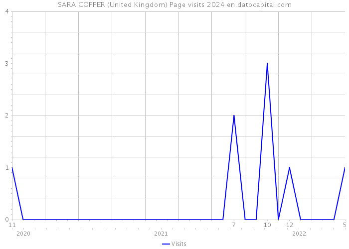 SARA COPPER (United Kingdom) Page visits 2024 