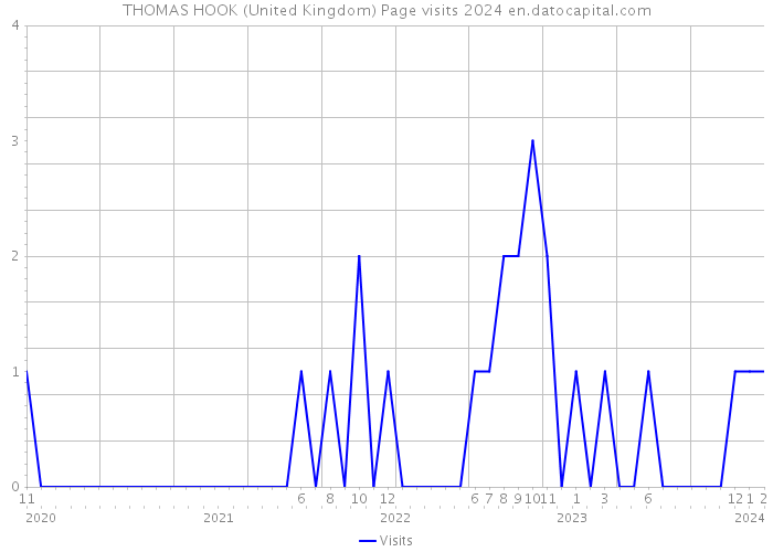 THOMAS HOOK (United Kingdom) Page visits 2024 