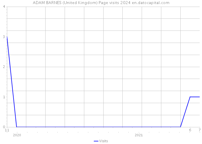 ADAM BARNES (United Kingdom) Page visits 2024 