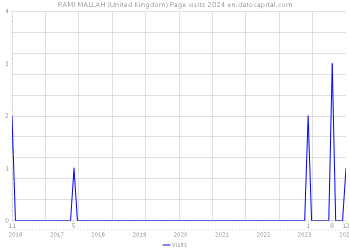 RAMI MALLAH (United Kingdom) Page visits 2024 