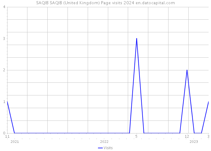 SAQIB SAQIB (United Kingdom) Page visits 2024 