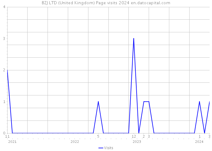 BZJ LTD (United Kingdom) Page visits 2024 