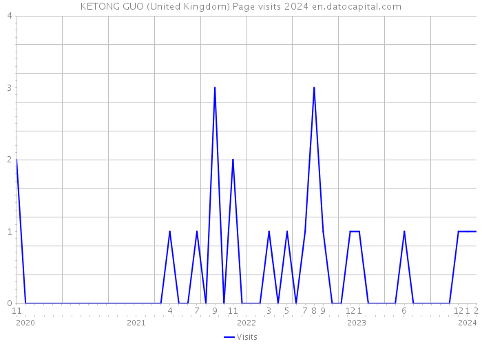 KETONG GUO (United Kingdom) Page visits 2024 