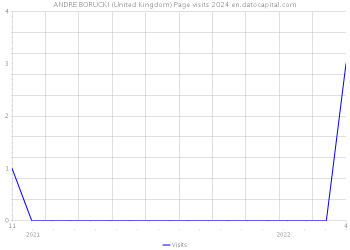 ANDRE BORUCKI (United Kingdom) Page visits 2024 