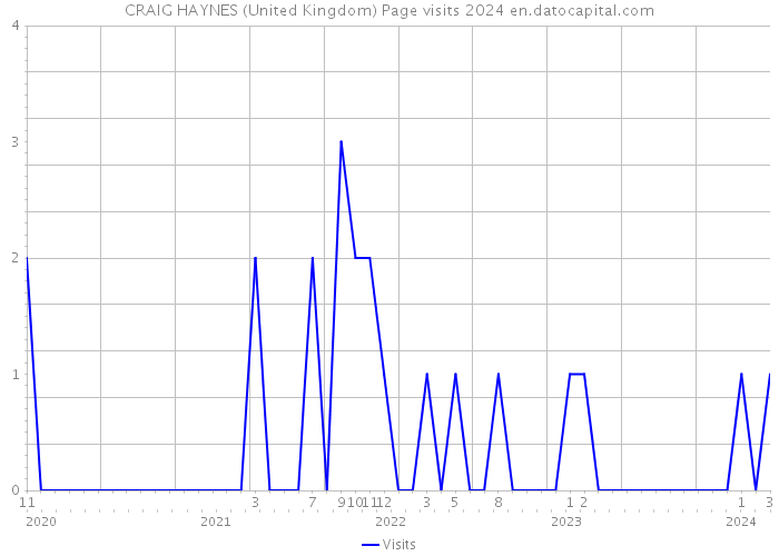 CRAIG HAYNES (United Kingdom) Page visits 2024 