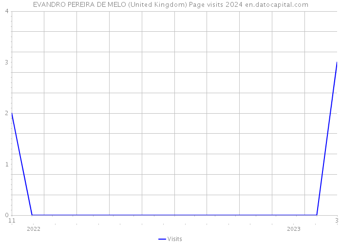 EVANDRO PEREIRA DE MELO (United Kingdom) Page visits 2024 
