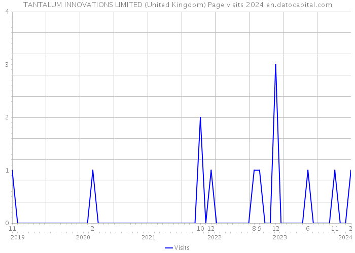 TANTALUM INNOVATIONS LIMITED (United Kingdom) Page visits 2024 