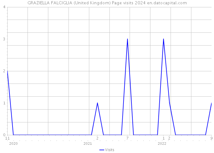 GRAZIELLA FALCIGLIA (United Kingdom) Page visits 2024 