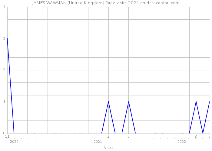 JAMES WAWMAN (United Kingdom) Page visits 2024 