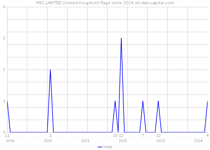 HSG LIMITED (United Kingdom) Page visits 2024 