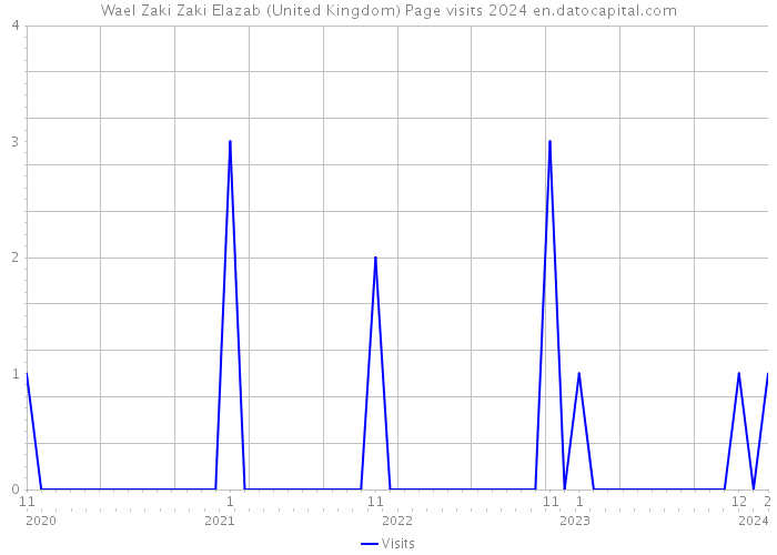 Wael Zaki Zaki Elazab (United Kingdom) Page visits 2024 