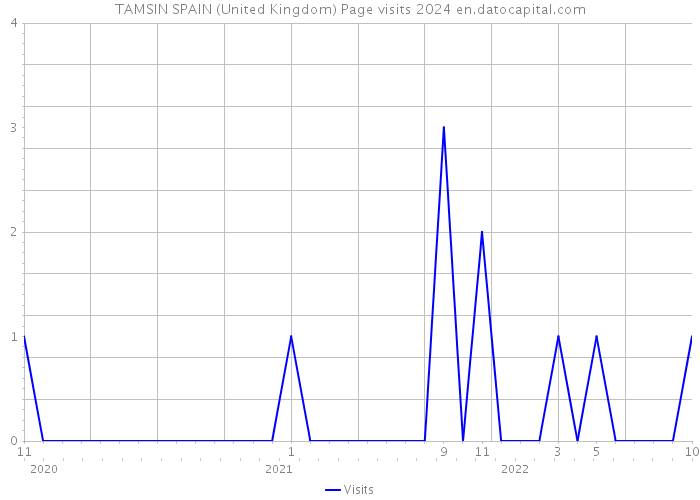 TAMSIN SPAIN (United Kingdom) Page visits 2024 