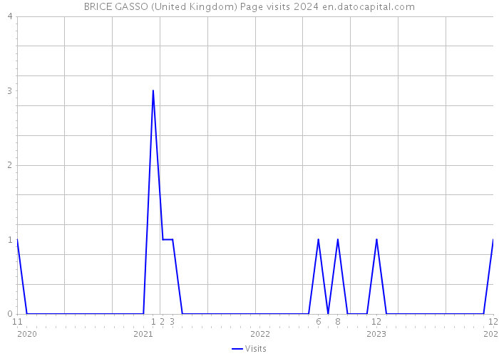 BRICE GASSO (United Kingdom) Page visits 2024 