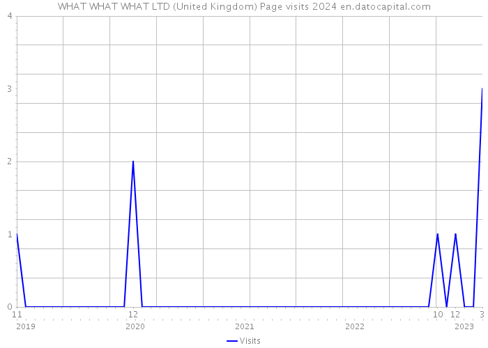WHAT WHAT WHAT LTD (United Kingdom) Page visits 2024 