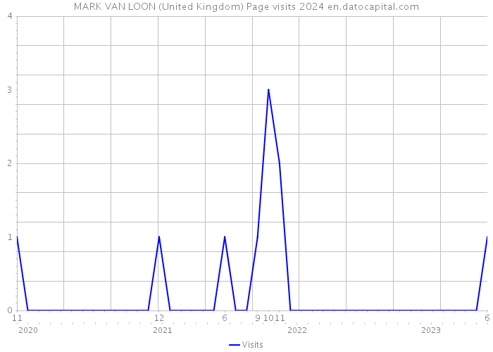 MARK VAN LOON (United Kingdom) Page visits 2024 