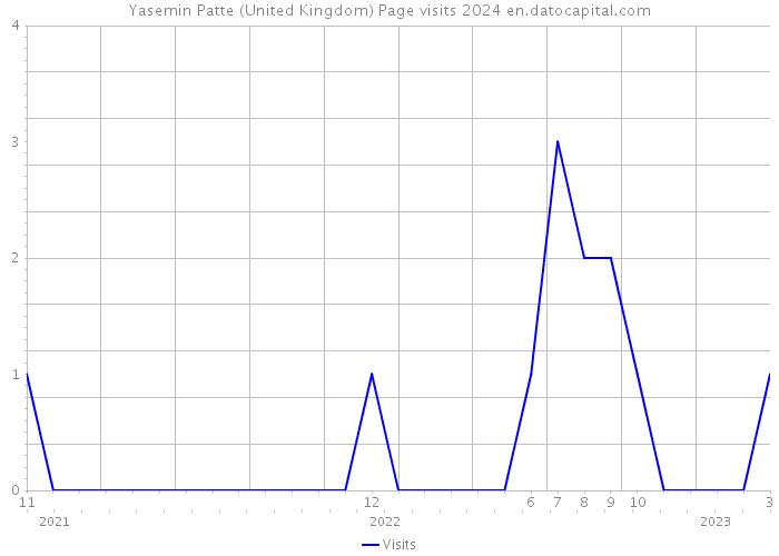 Yasemin Patte (United Kingdom) Page visits 2024 