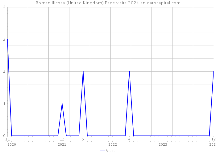 Roman Ilichev (United Kingdom) Page visits 2024 