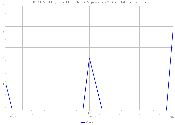 DINGO LIMITED (United Kingdom) Page visits 2024 