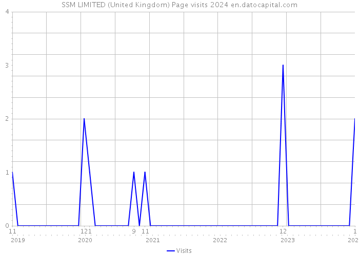 SSM LIMITED (United Kingdom) Page visits 2024 