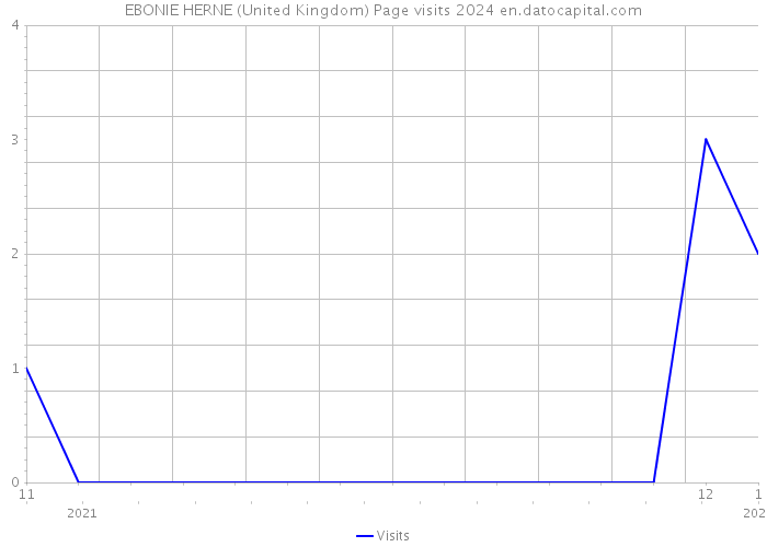 EBONIE HERNE (United Kingdom) Page visits 2024 