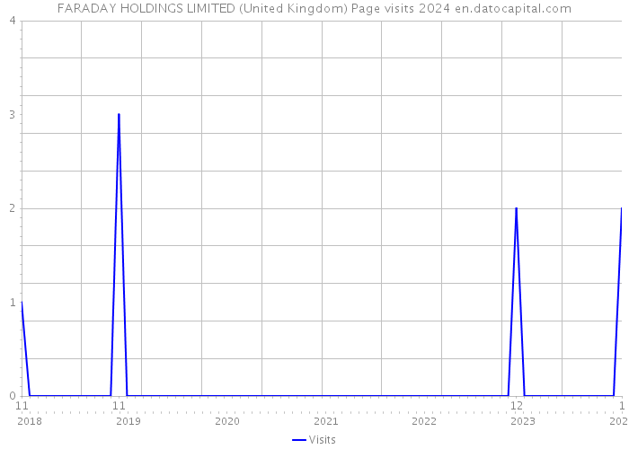 FARADAY HOLDINGS LIMITED (United Kingdom) Page visits 2024 