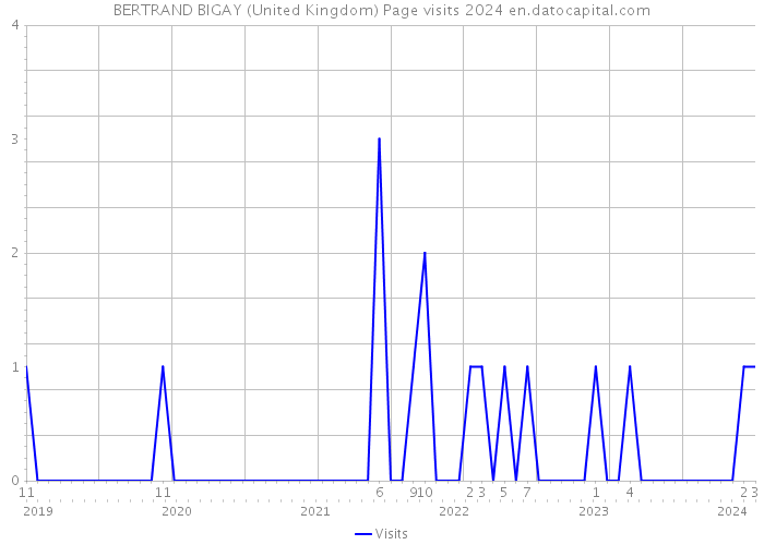 BERTRAND BIGAY (United Kingdom) Page visits 2024 
