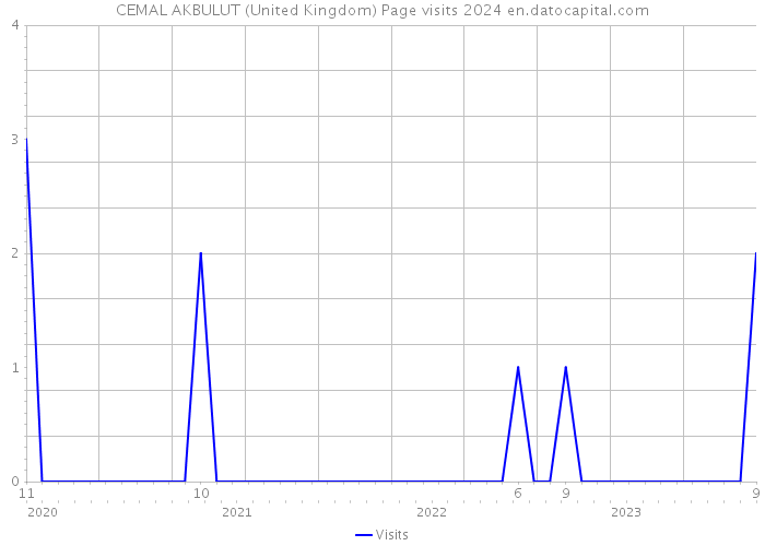 CEMAL AKBULUT (United Kingdom) Page visits 2024 