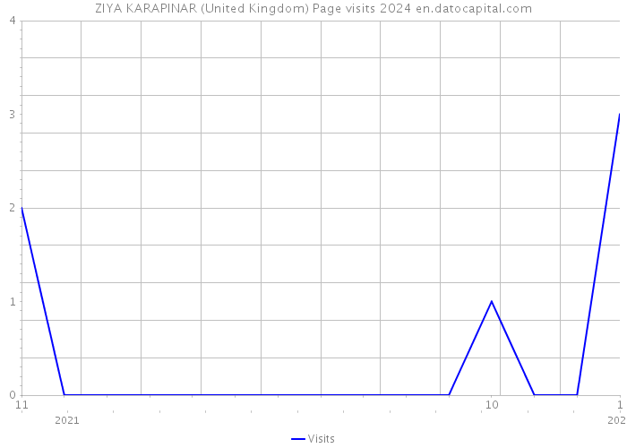 ZIYA KARAPINAR (United Kingdom) Page visits 2024 