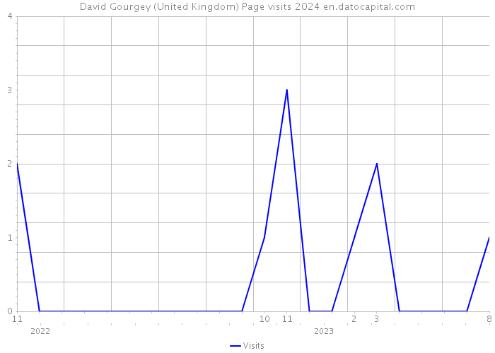 David Gourgey (United Kingdom) Page visits 2024 