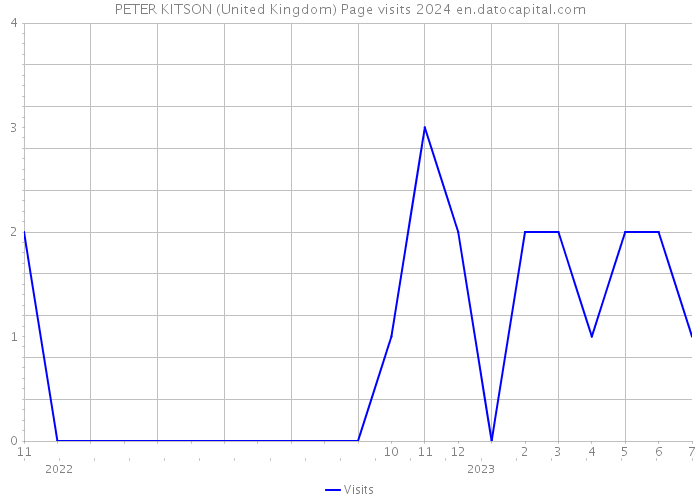 PETER KITSON (United Kingdom) Page visits 2024 