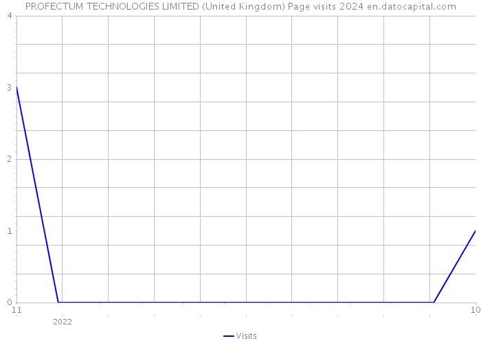 PROFECTUM TECHNOLOGIES LIMITED (United Kingdom) Page visits 2024 