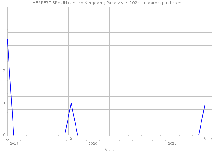 HERBERT BRAUN (United Kingdom) Page visits 2024 