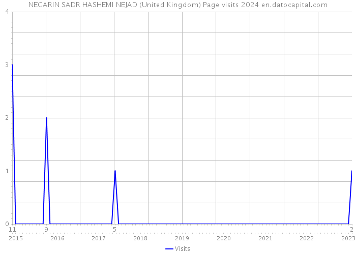 NEGARIN SADR HASHEMI NEJAD (United Kingdom) Page visits 2024 