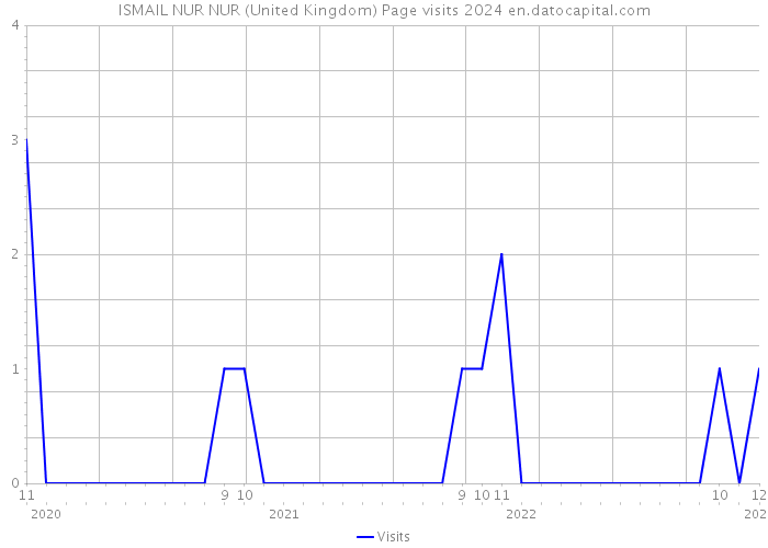 ISMAIL NUR NUR (United Kingdom) Page visits 2024 