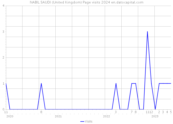 NABIL SAUDI (United Kingdom) Page visits 2024 