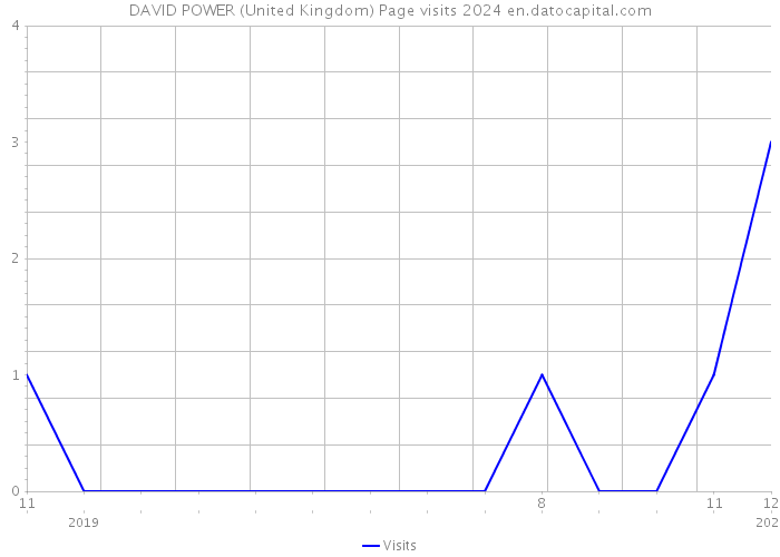 DAVID POWER (United Kingdom) Page visits 2024 