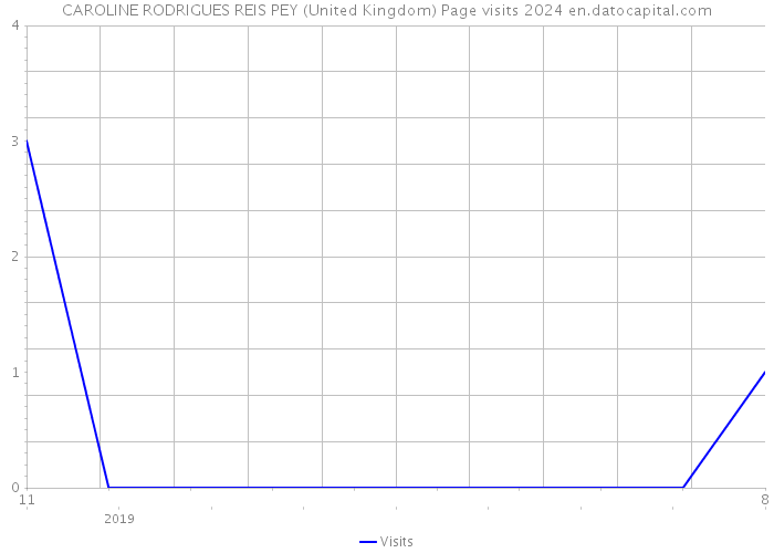 CAROLINE RODRIGUES REIS PEY (United Kingdom) Page visits 2024 